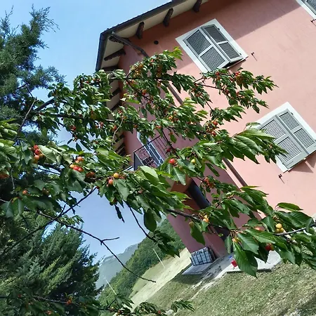 Guest house La Di Zio Pino *